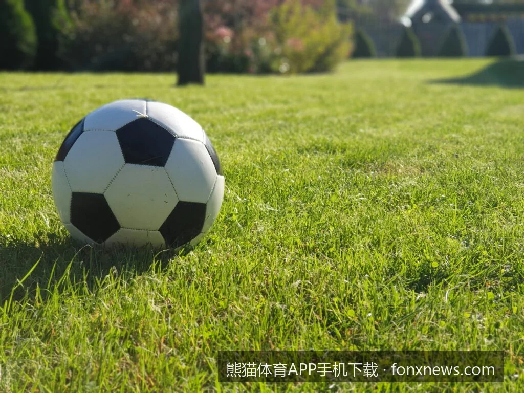 熊猫体育手机客户端常见安装失败原因及一键解决方法